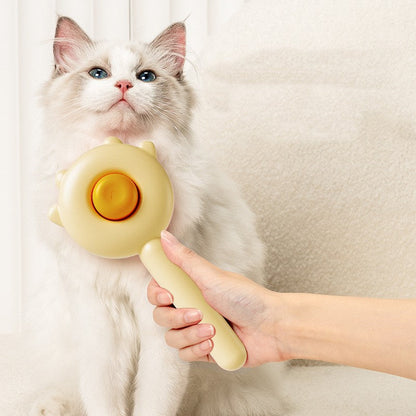 Cat Brush